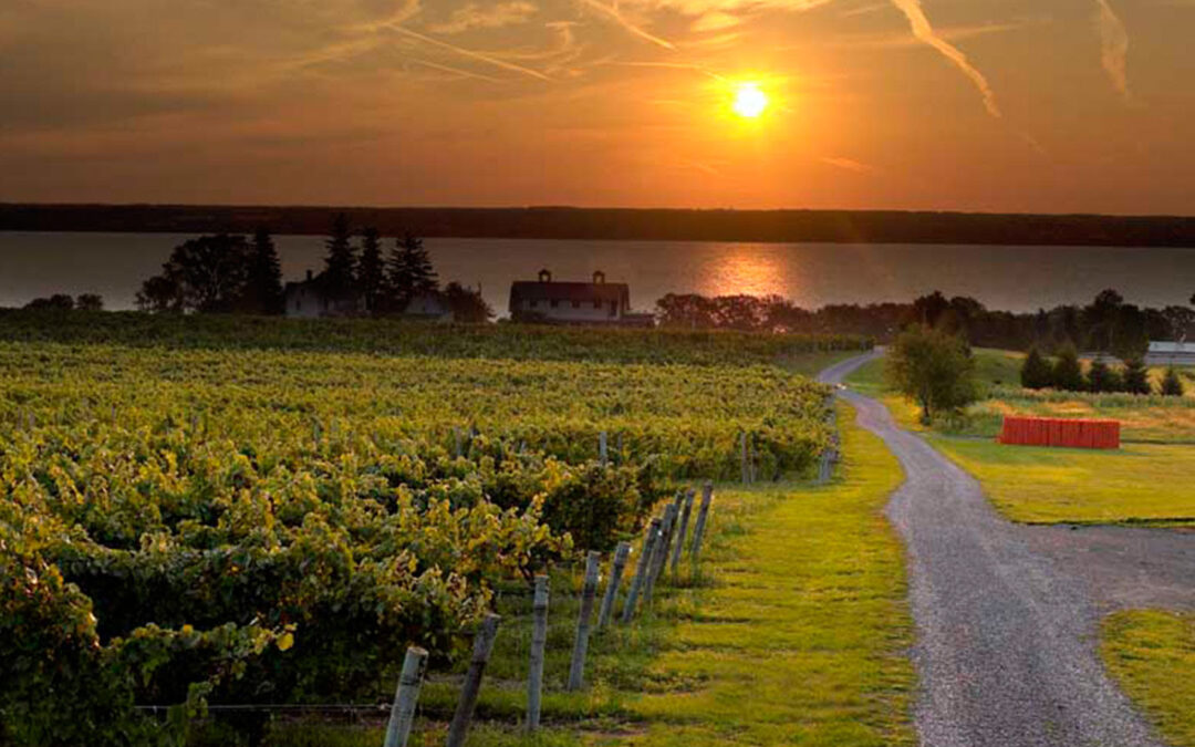 Seneca Lake Wineries: The Complete FAQ Guide